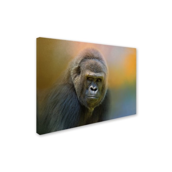 Jai Johnson 'Portrait Of A Gorilla' Canvas Art,35x47